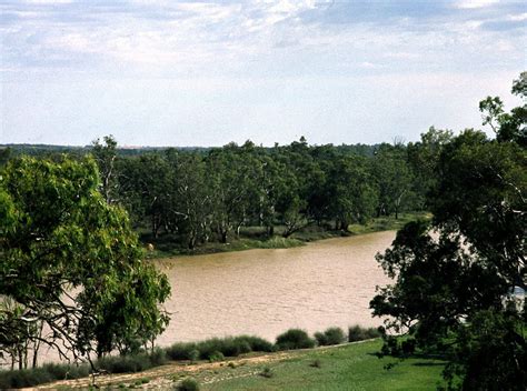 R Murray Nr Swan Reach Jan Wilford Peloquin Flickr