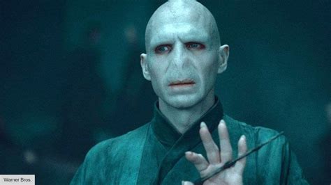 The Dark Lord Voldemort Harry Potter S Greatest Enemy