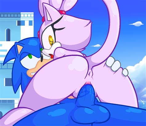 Rule 34 Anus Ass Balls Blaze The Cat Blue Fur Female Furry Hedgehog