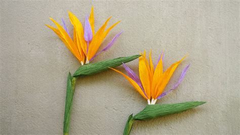 Abc Tv How To Make Bird Of Paradise Paper Flower From Crepe Paper