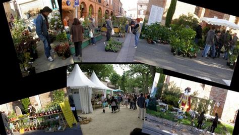 Saint Antonin Noble Val Trente deuxième foire aux plantes à Saint