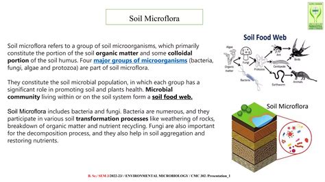 Environmental Microbiology Ppt Pptx