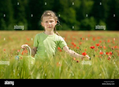 Auf Der Grunen Wiese Hi Res Stock Photography And Images Alamy