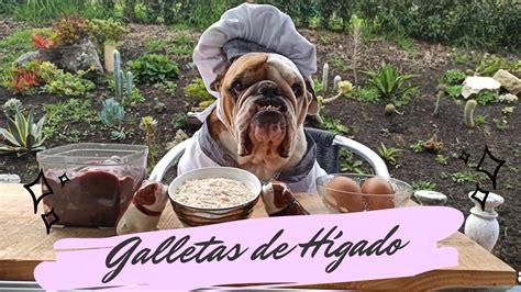 Galletas De Higado YouTube