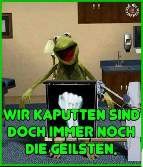 Lustige Sprüche Kermit Der Frosch Bilder 3 Zulay Sheripov