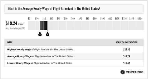 Flight Attendant Salary Actual Projected Velvetjobs