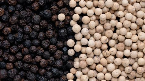 The types of peppercorn: a complete guide | Marion's Kitchen