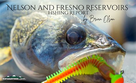 Fresno And Nelson Reservoirs Fishing Report By Brian Olson 91224