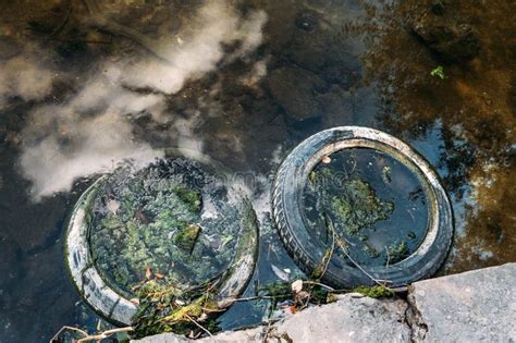 Pollution Litter And Rubber Stock Photo Image Of Environmental