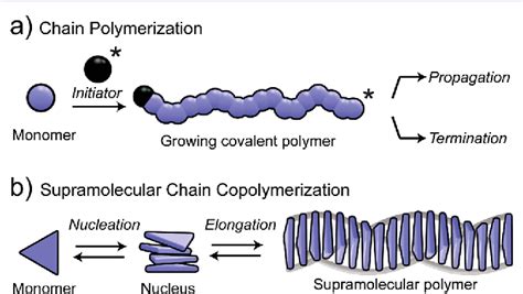 Figure From Future Of Supramolecular Copolymers Unveiled By