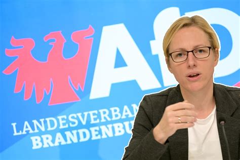 Neue Afd Recherche Von Correctiv Abgeordnete Trafen Sich Mit Neonazis