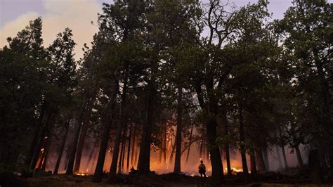 Incendies En Californie Un Nouvel Incendie De Forêt Menace Des