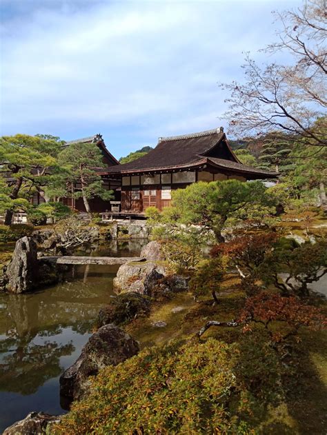 Успокаивающий вид Киото | Пикабу