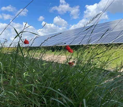 Rwe Przeznaczy Mln Euro Na Budow Farm Fotowoltaicznych W Polsce