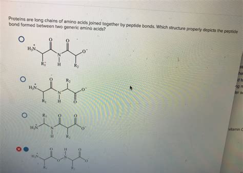 Solved Proteins Are Long Chains Of Amino Acids Joined Chegg