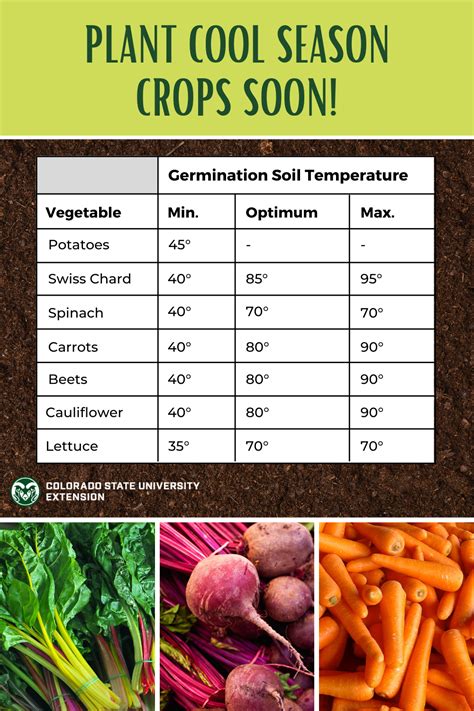 Its The Time Of Year To Plant Cool Season Crops Visit The Link For