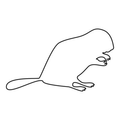 Beaver Outline Vector Art, Icons, and Graphics for Free Download