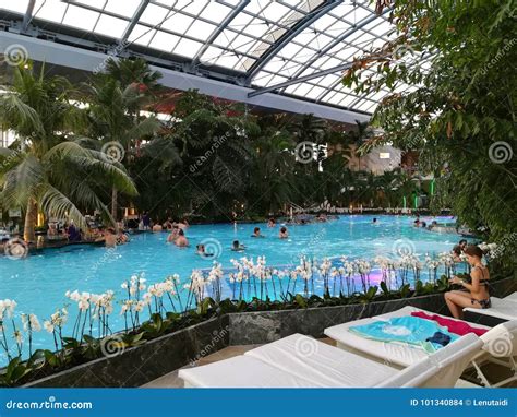 Therme Bucharest Palm Zone Editorial Stock Image Image Of Geothermal