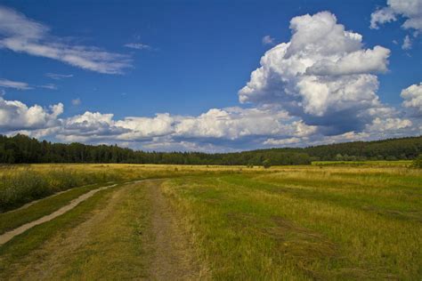 Summer russian landscape by shaktya on DeviantArt