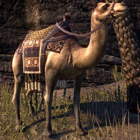 Onlinehammerfell Camel The Unofficial Elder Scrolls Pages Uesp