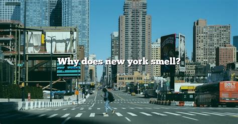 Why Does New York Smell [the Right Answer] 2022 Travelizta