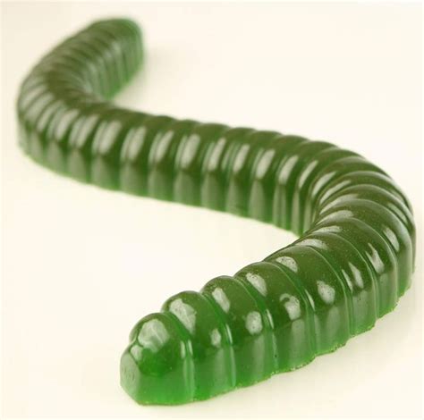 Worlds Largest Gummy Worm Now Available Online Thatsweett