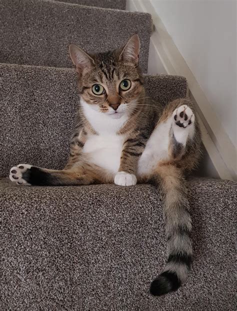 The surprising architectural detail of the labianca house you never noticed 22