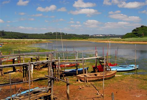 Centro De Interpreta O Para A Lagoa De Bidos