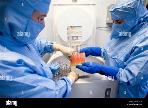 Cryonics crioconservación de muestras en nitrógeno laboratorio