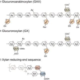 (PDF) A review of xylan and lignin biosynthesis: Foundation for studying Arabidopsis irregular ...