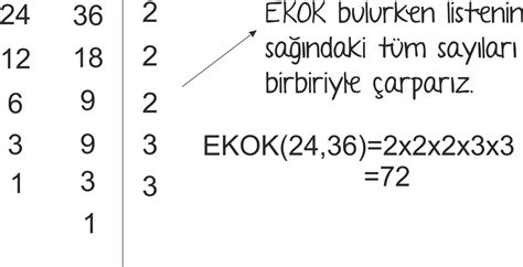 Teog Matematik Ebob Ekok