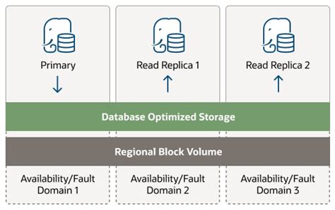 Database With Postgresql Oracle