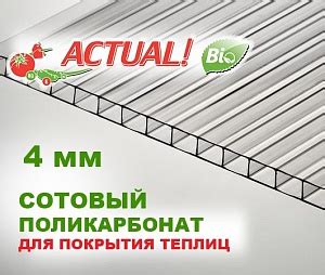 Сотовый поликарбонат Actual! Bio, лист 4 мм, 0,6 кг/м2 прозрачный ...