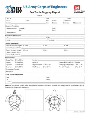 Fillable Online Saj Usace Army Us Army Corps Of Engineers Operations