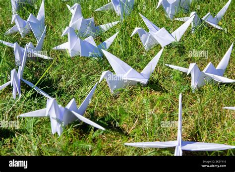 Japanese Folded Origami Cranes On Fresh Grass Hundreds Handmade Paper