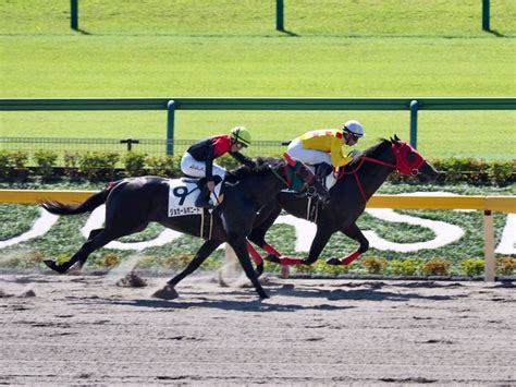 【東京1r2歳未勝利】圧倒的人気のオリオンパッチが逃げ切る！2着馬と熾烈な追い比べ その他競技 スポーツブル スポブル