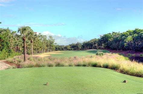 Tiburón Golf Club Ritz Carlton Golf Resort Naples Fl Florida Golf