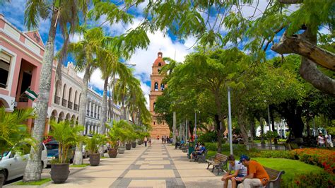 visitez santa cruz le meilleur de santa cruz santa cruz pour