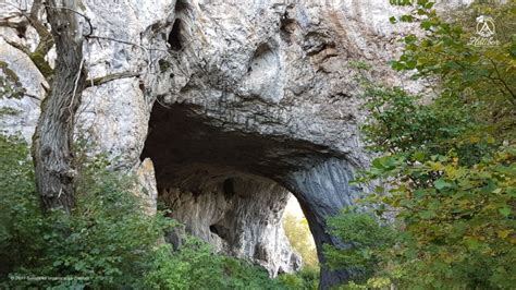 Zlatibor Prerast In Dobroselica