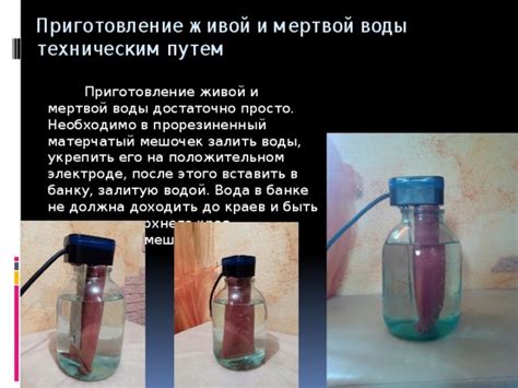 Исследовательская работа "Живая или мертвая вода - миф или реальность?"