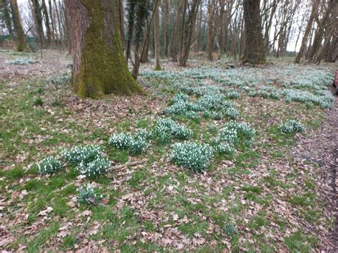Cheam and Morden CTC: Ride Report - Sunday 5th March