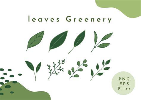 leaves greenery   art doodle graphic  chumonopho creative