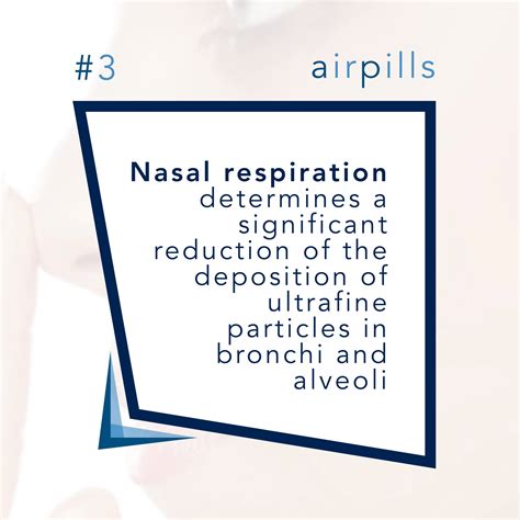 Wiseair - Did you know? Keep learning new interesting...