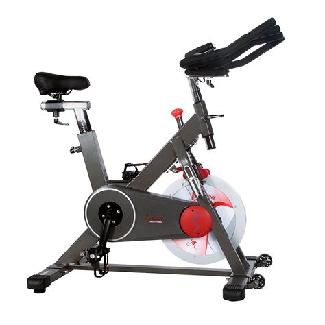 sunny health and fitness bike 12