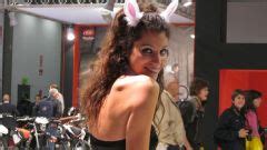 Le Ragazze Degli Stand Eicma Girls