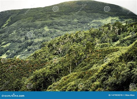 Kamchatka Wild Nature. Kamchatka Mountains. Nature of Kamchatka,Russia ...