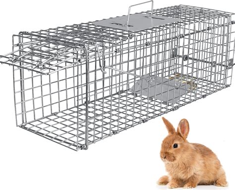 live animal traps for squirrels 5