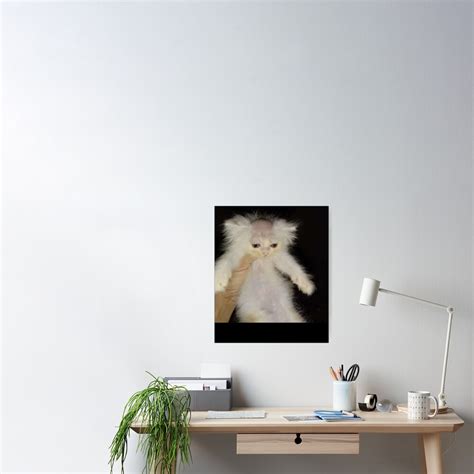 "bald cat meme" Poster for Sale by nainoalequan | Redbubble