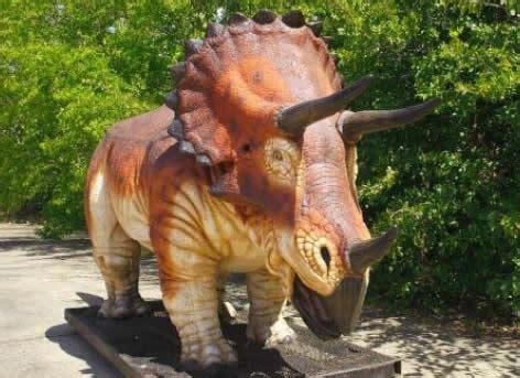 Wake Up: New Three-Horned Dinosaur Discovered