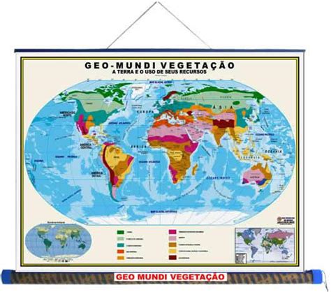 Mapa Da Vegetação Do Mundo - Mundo: Mapa Múndi - Vegetação